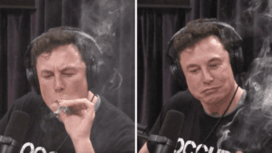 Elon Musk ze skrętem