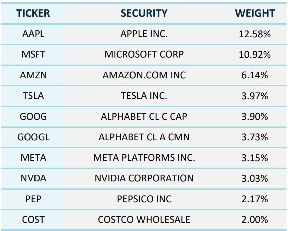Najwieksze firmy w indeksie NASDAQ-100