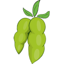 Soy Finance Logo