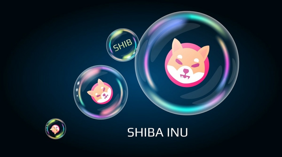 Shiba Inu ogłasza rewolucyjną inicjatywę na rok 2024! Co to oznacza dla Web3?