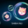 Shiba Inu ogłasza rewolucyjną inicjatywę na rok 2024! Co to oznacza dla Web3?