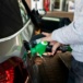 Prognoza cen paliw w Polsce: czy czeka nas w końcu spadek cen?