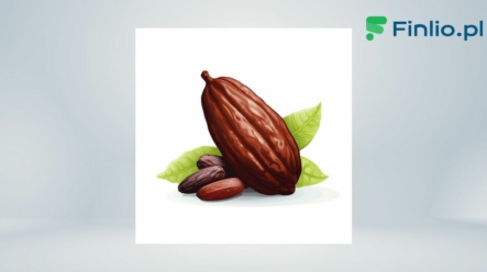 Kakao – Notowania, aktualny kurs, wykres, jak i gdzie kupić