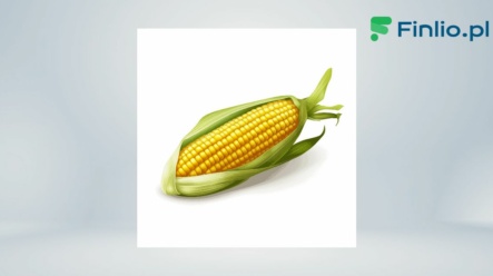 Kukurydza – Notowania, aktualny kurs, wykres, jak i gdzie kupić