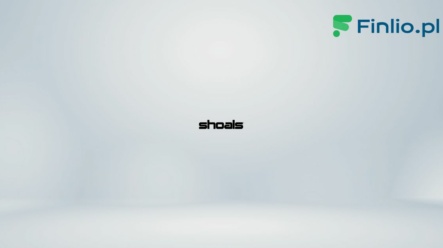Akcje Shoals Technologies (SHLS) – Notowania, aktualny kurs, wykres, jak kupić, dywidenda 2024