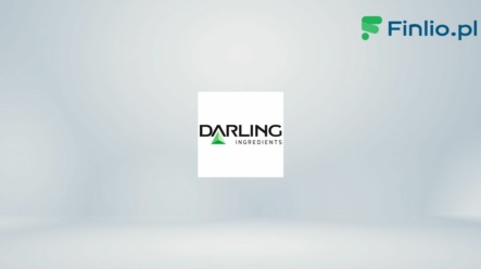 Akcje Darling Ingredients (DAR) – Notowania, aktualny kurs, wykres, jak kupić, dywidenda 2024
