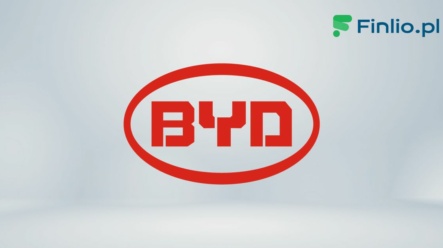 Akcje BYD (2594) – Notowania, aktualny kurs, wykres, jak kupić, dywidenda 2024