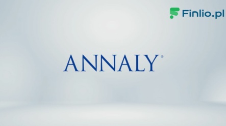 Akcje Annaly Capital Management (NLY) – Notowania, aktualny kurs, wykres, jak kupić, dywidenda 2024
