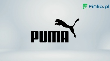 Akcje Puma (PUM) – Notowania, aktualny kurs, wykres, jak kupić, dywidenda 2024