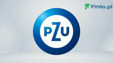 Akcje PZU (PZU) – Notowania, aktualny kurs, wykres, jak kupić, dywidenda 2024