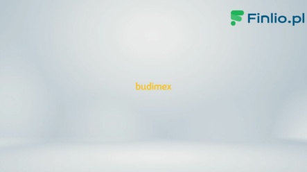 Akcje Budimex (BDX) – Notowania, aktualny kurs, wykres, jak kupić, dywidenda 2024